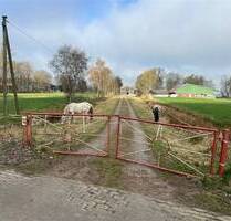 Ideal für Pferdehalter! Resthof mit Pferdeboxen und 4 ha Weideland am Haus! Odisheim