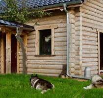 Grundstück mit Blockhaus und Baupotenzial: Für Aussteiger, Tierliebhaber & Individualisten - Sergen / Neuhausen