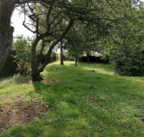 Idyllisches Baugrundstück in Kühlungsborn - Exklusiver vorderer Grundstücksbereich