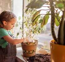 Über den Dächern der Nürnberger Oststadt 