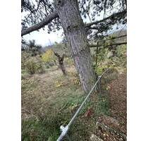 Seltenes Garten-, Wald- und Freizeitgrundstück in Würzburg Oberdürrbach!