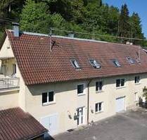 Tolles Zuhause und viele Möglichkeiten, großes Grundstück . Einliegerwohnung . 3 Garagen - Sigmaringen-Oberschmeien