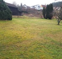 Zentrumsnahes ebenes Baugrundstück - Schönberg