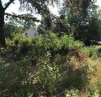Teilbares Baugrundstück in bevorzugter Wohnlage von Homburg