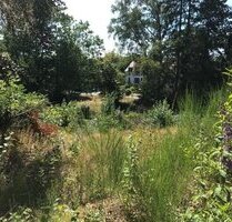 Baugrundstück in bevorzugter Wohnlage von Homburg