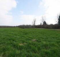 Großes Baugrundstück in der Marsch - Haselau