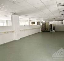 PROVISIONSFREI - Produktions-Lager-Gewerbefläche mit Lastenaufzug und flexible Aufteilung - Heusenstamm