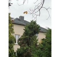 Dresden-Süd: Attraktives 6-Familien-Haus mit Ausbaureserve