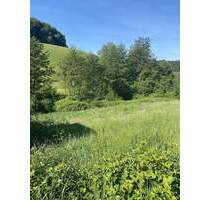 Grundstück für ein EinMehrfamilienhaus in sonniger Lage zu verkaufen - Gorxheimertal Unter-Flockenbach