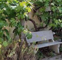 3-Zimmer-Terassenwohnung mit etwas Toscana-Flair - Jestetten