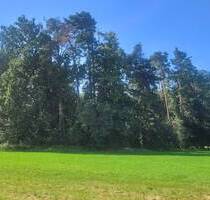 Bauerwartungsland - 77.000,00 EUR Kaufpreis, ca.  0,00 m² in Büchenbach (PLZ: 91186) Aurau