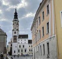 5 Raum Wohnung mit Wohnküche inkl. EBK und Dachterrasse - Görlitz Altstadt