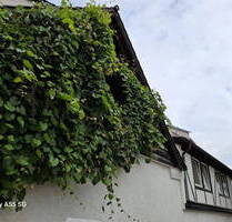 Sehr großes Einfamilienhaus, 11 Zimmer, kleiner Garten, Wintergarten, Whirlpool, Sauna, Fitnessraum - Grünstadt