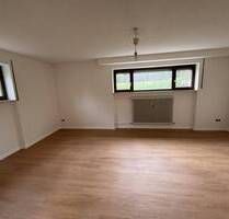 Neu sanierte 1-Zimmer-Wohnung, March-Holzhausen, UG