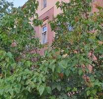 Nachmietersuche - helle 3 Raum Wohnung im Dachgeschoss mit sehr schönem Grundriss und WG geeignet - Dresden Leuben (Stephensonstr.)