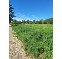 Großzügiges Grundstück zur gewerblichen Nutzung! - Gera Bieblach-Ost