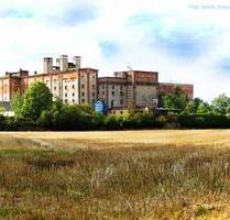 Ca. 18.000 m² großes Grundstück mit Fabrikensemble; Entwicklungspotential vorhanden - Börde-Hakel Etgersleben
