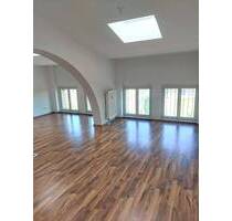 Schöne 1-R-Wohnung im DG-Loft ca.46, m² Magdeburg - Nachtweide zu vermieten !