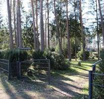 PHANTASTISCHES BAUGRUNDSTÜCK MIT WALDCHARAKTER IN KAKENSTORF ZU VERKAUFEN
