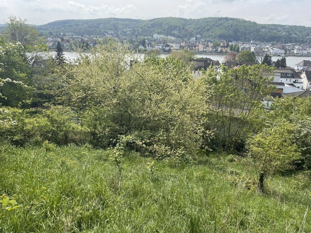 Verlockendes Angebot: Traumgrundstück mit Panoramablick auf den Rhein - Erpel