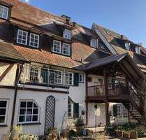 IDYLLISCH UND RUHIG! Ihr gemütliches Zuhause in Fachwerkgebäude, direkt neben historischem Ortskern! - Kirchentellinsfurt