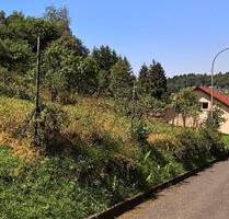 Top Preis- In guter Nachbarschaft in Wadern-Krettnich, schönes leicht ansteigendes Grundstück