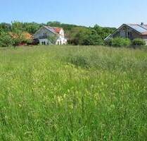 schönes großzügiges Baugrundstück in ruhiger Ortsrandlage - Burgkirchen an der Alz Grasset