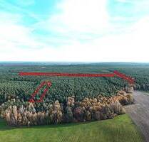 Waldflächen mit ca. 43.020 m² Gesamtfläche - Neukirch Gottschdorf