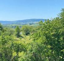 TOP Proj Neubauwohnung mit herrlichem Fernblick - Kernen im Remstal Rommelshausen