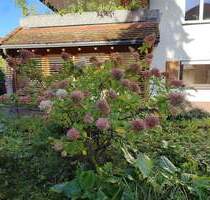 4,5 Zimmer Erdgeschosswohnung mit Traumgarten - Waldkirch Kollnau