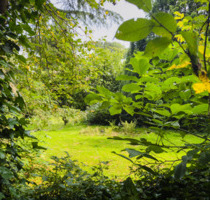 Idyllisches Gartengrundstück mit 2-stöckigem Gartenhaus - Waldenbuch