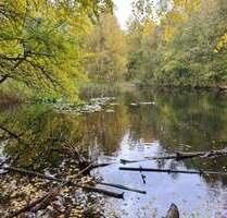 Top modernes Reihenhaus an der Fischbeker Heide (Naturschutzgebiet) - Hamburg Neugraben-Fischbek