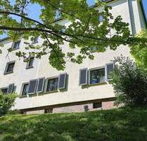 NEU sanierte Altbauwohnung mit Tageslichtbad - Chemnitz Sonnenberg