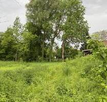 Ehemalige Hofstelle mit kleinem Wohnhaus und großzügigen Gartenland in Hainsfarth