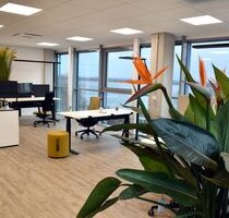 ELBCUBE: Moderne Bürofläche mit Elbblick in der Metropolregion Hamburg! - Wedel