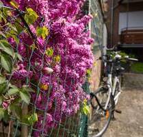 Komplett renoviert & möbliert - 2-Zimmer-Traumwohnung mit Balkon in ruhiger Lage! - Mönchengladbach Dohr