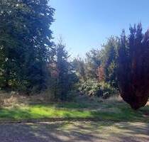 Großes und schönes Baugrundstück oberhalb des Stadtzentrums von Waldbröl