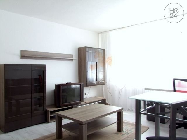 Möblierte 1-Zimmer Wohnung - 896,00 EUR Kaltmiete, ca.  35,00 m² in Ludwigshafen (PLZ: 67061) Süd