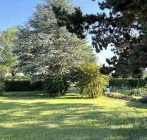 EFH Bungalow mit Potential großes Grundstück mit Gartenparadies in Toplage - Dillingen