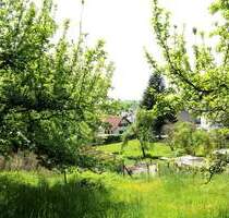 Grundstück mit Altbestand in HangWaldrandlage für Naturliebhaber in AltenstadtIller