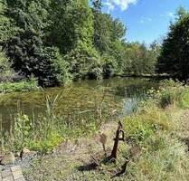 5 wunderschöne Natur Angelweiher mit einer ausgezeichnete Wasserqualität und unbegrenztem Wassernutzungsrecht in Bicken im Wald gelegen - Mittenaar