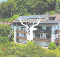 Schönes 5-Familienhaus mit top Entwicklungspotential in bester Lage von Waldshut mit Rheinblick zu verkaufen - Waldshut-Tiengen
