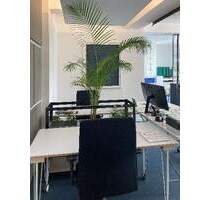 Gut ausgestatteter Arbeitsplatz in Bochum - All-in-Miete