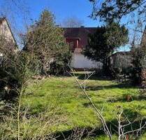 provisionsfrei - Ruhig gelegenes Einfamilienhaus am Fischerweg - Gifhorn