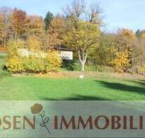 Traumhaftes Grundstück mit Bachlauf - Wald-Michelbach Kocherbach