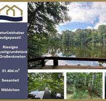 Exklusive Seeliegenschaft in Großenkneten 31.404m² Naturidyll mit privatem Steg und eigenem Wäldchen