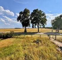 Großes Grundstück mit Entwicklungspotenzial - Schönwalde-Glien Pausin