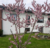 Großzügiges Einfamilienhaus mit Einliegerwohnung in ruhiger Lage von Katlenburg-Lindau