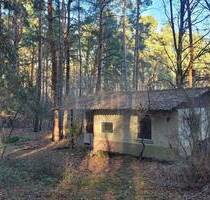 Großes Waldgrundstück mit Wochenendhaus bei Zossen - Handwerkerobjekt