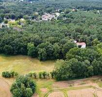 4 Waldgrundstücke in Zossen-Dabendorf